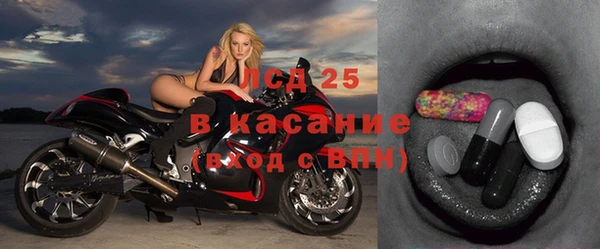индика Алзамай