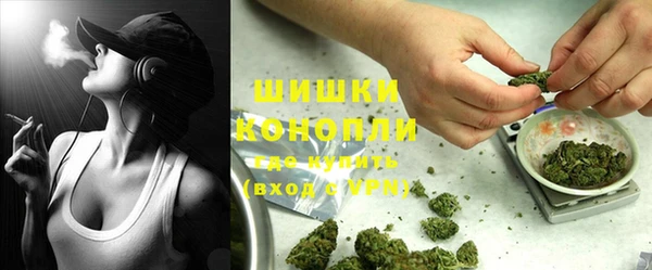 прущие грибы Аркадак