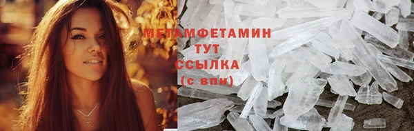 прущие грибы Аркадак
