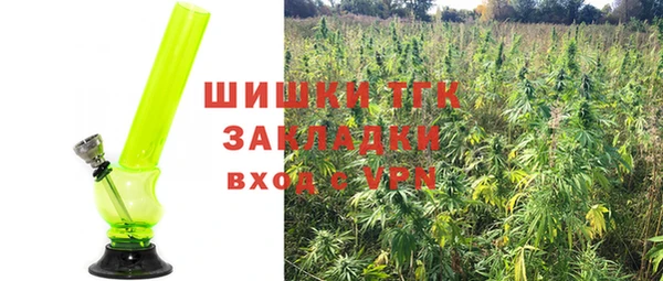 apvp Арсеньев