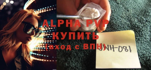прущие грибы Аркадак