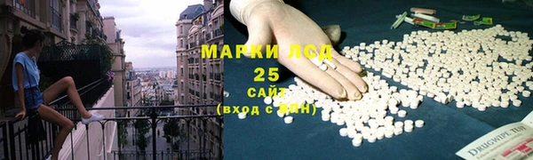 индика Алзамай